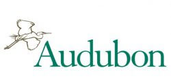 audubon